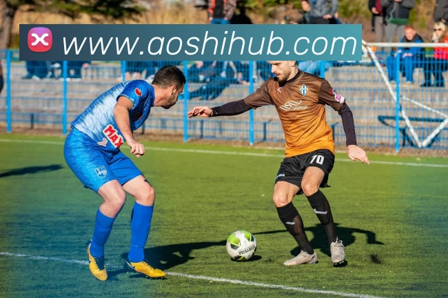 傲世皇朝服务体系